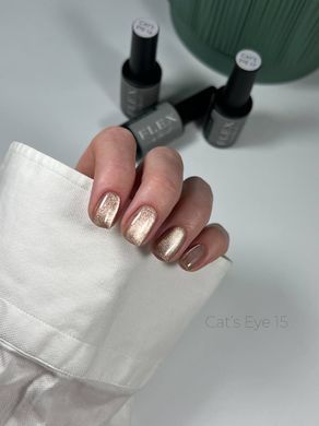 Гель лак Кошачий Глаз C'ats Eye 15