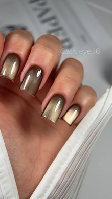 Гель лак Кошачий Глаз C'ats Eye 16