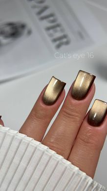 Гель лак Кошачий Глаз C'ats Eye 16