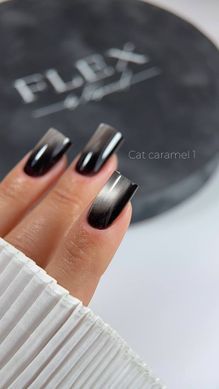 Cat Caramel 1 - гель лак з ефектом кошачий глаз, 5 мл