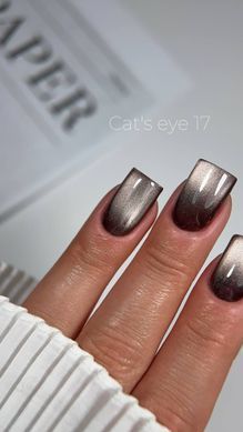 Гель лак Кошачий Глаз C'ats Eye 17
