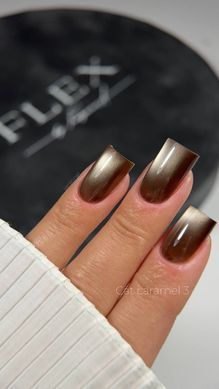 Cat Caramel 3 - гель лак с ефектом кошачий глаз, 5 мл