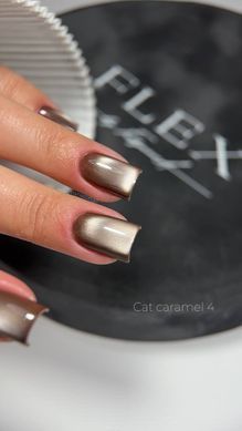 Cat Caramel 4 - гель лак с ефектом кошачий глаз, 5 мл