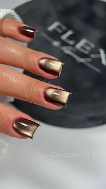 Cat Caramel 5 - гель лак с ефектом кошачий глаз, 5 мл, 5 мл