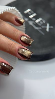 Cat Caramel 6 - гель лак с ефектом кошачий глаз, 5 мл