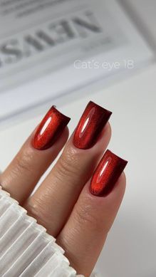 Гель лак Кошачий Глаз C'ats Eye 18