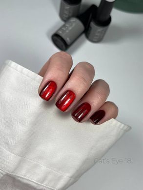 Гель лак Кошачий Глаз C'ats Eye 18
