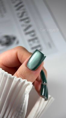 Гель лак Кошачий Глаз C'ats Eye 9