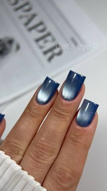 Гель лак Кошачий Глаз C'ats Eye 11