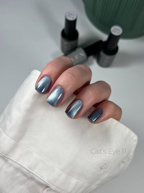 Гель лак Кошачий Глаз C'ats Eye 11