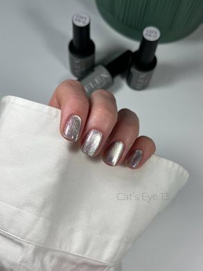 Гель лак Кошачий Глаз C'ats Eye 13