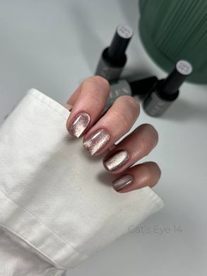 Гель лак Кошачий Глаз C'ats Eye 14